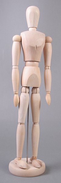 Drveni model ljudskog tela - muškarac - 40 cm