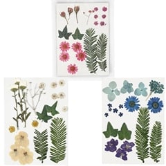 Presovano cveće i lišće - izaberi varijantu