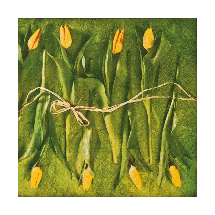 Salveta za dekupaž Fresh Tulips - 1 kom